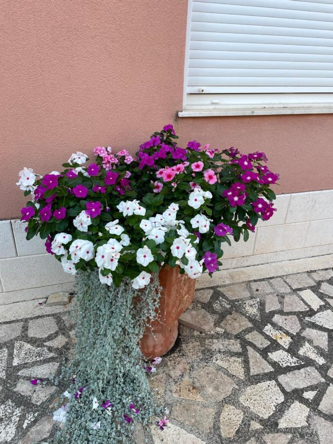 Apartman Jukic Hotel Marina Exterior photo