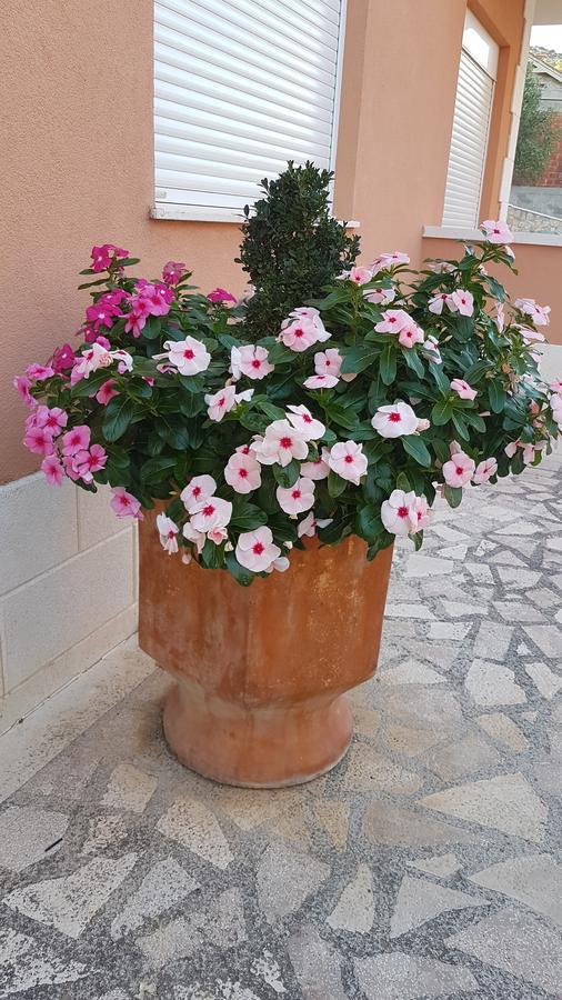 Apartman Jukic Hotel Marina Exterior photo